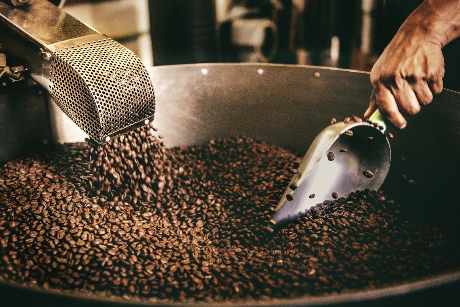Freshly roasted coffee beans being stirred in a roaster